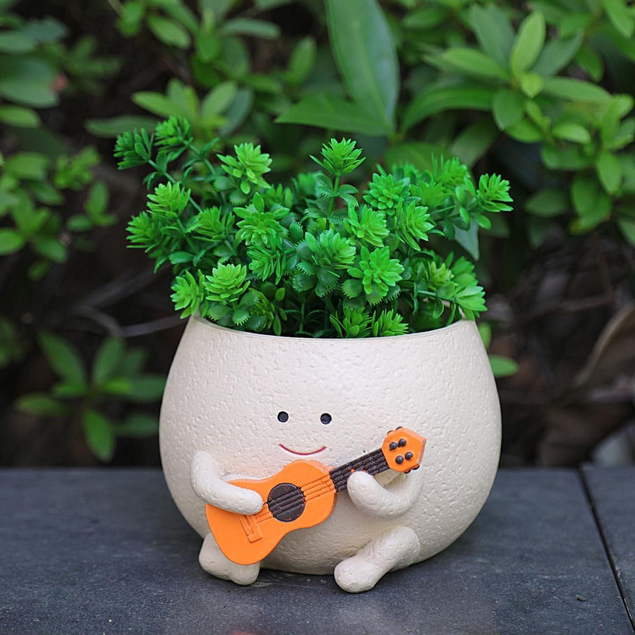 Ollie — Ukulele Planter