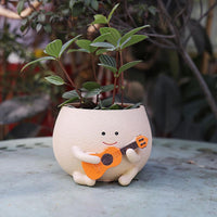 Ollie — Ukulele Planter