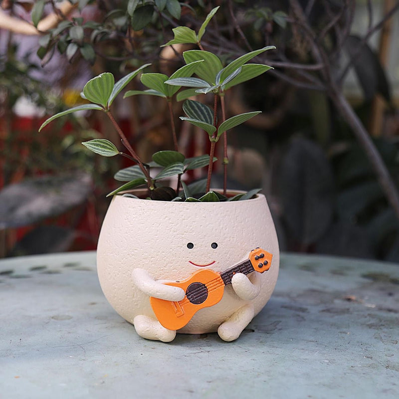 Ollie — Ukulele Planter