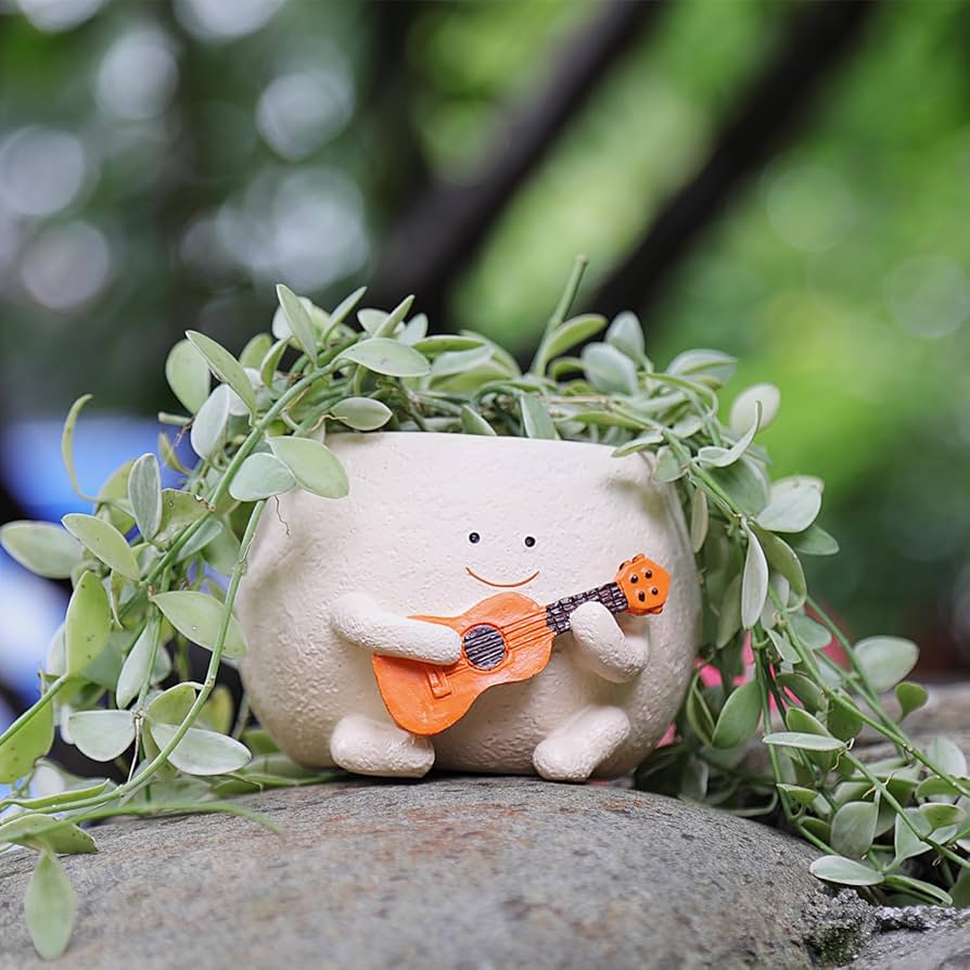 Ollie — Ukulele Planter