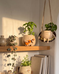 Ollie and Pip together on a wooden wall shelf