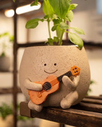 Ollie ukulele planter close up with basil growing out of the top