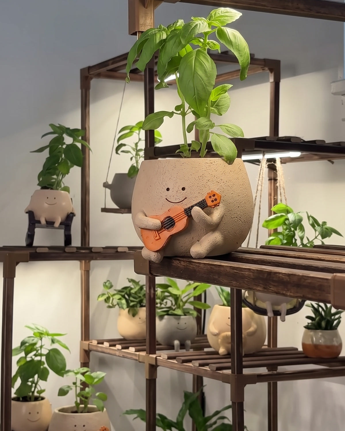 Ollie ukulele planter on a plant stand with the rest of the family