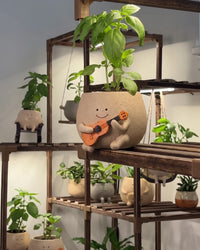 Ollie ukulele planter on a plant stand with the rest of the family