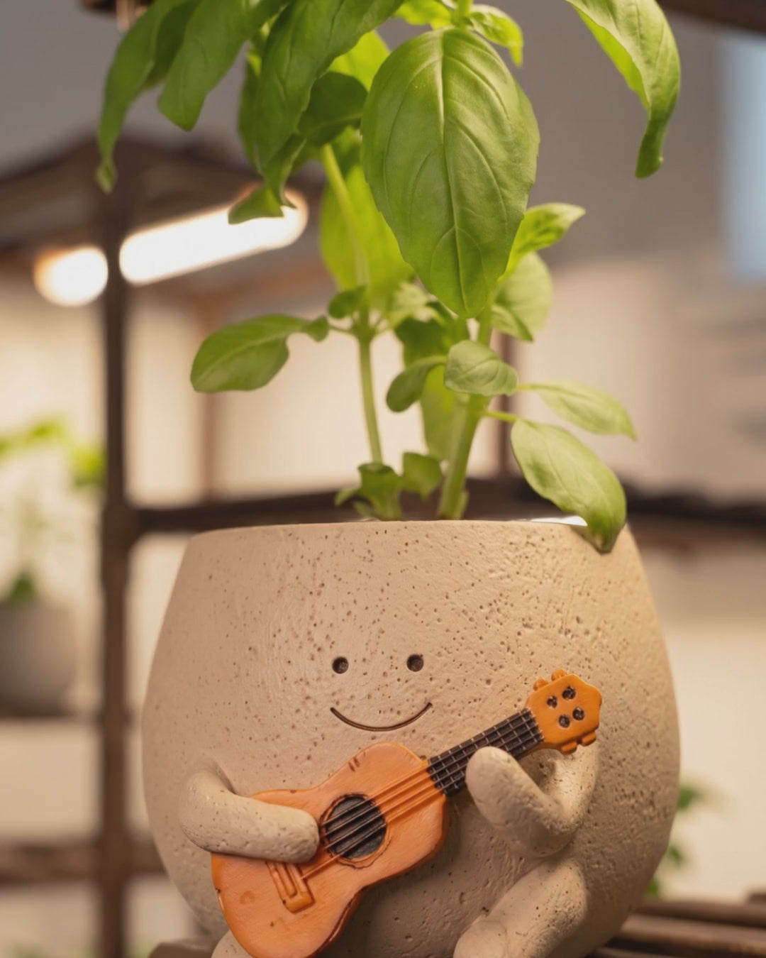 Close-up of Ollie holding his ukulele